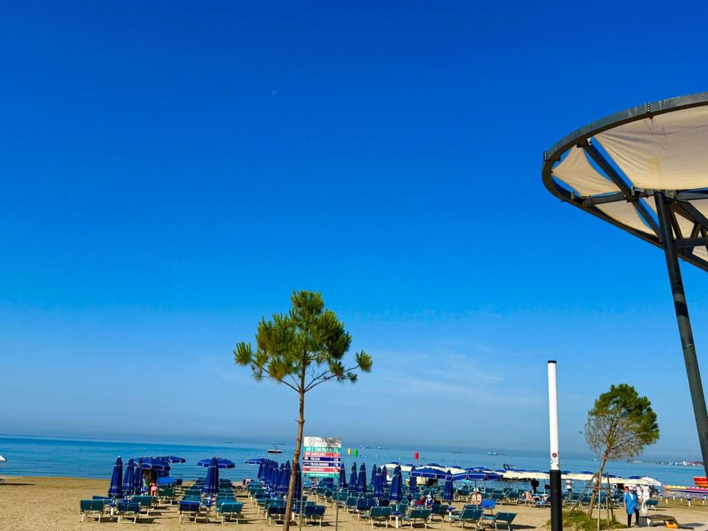 a beach with chairs and a tree and the ocean at Hotel Vila Misiri in Durrës