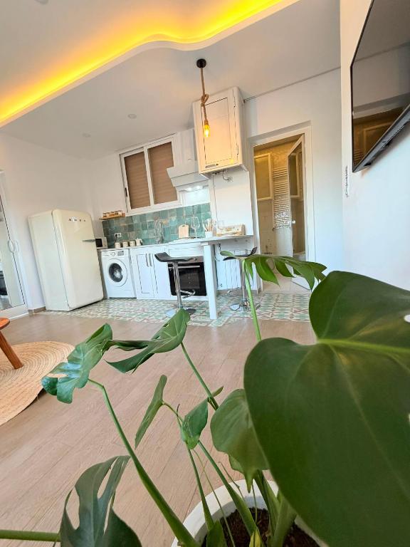 a kitchen with a plant in the middle of a room at Emeraude in Tunis