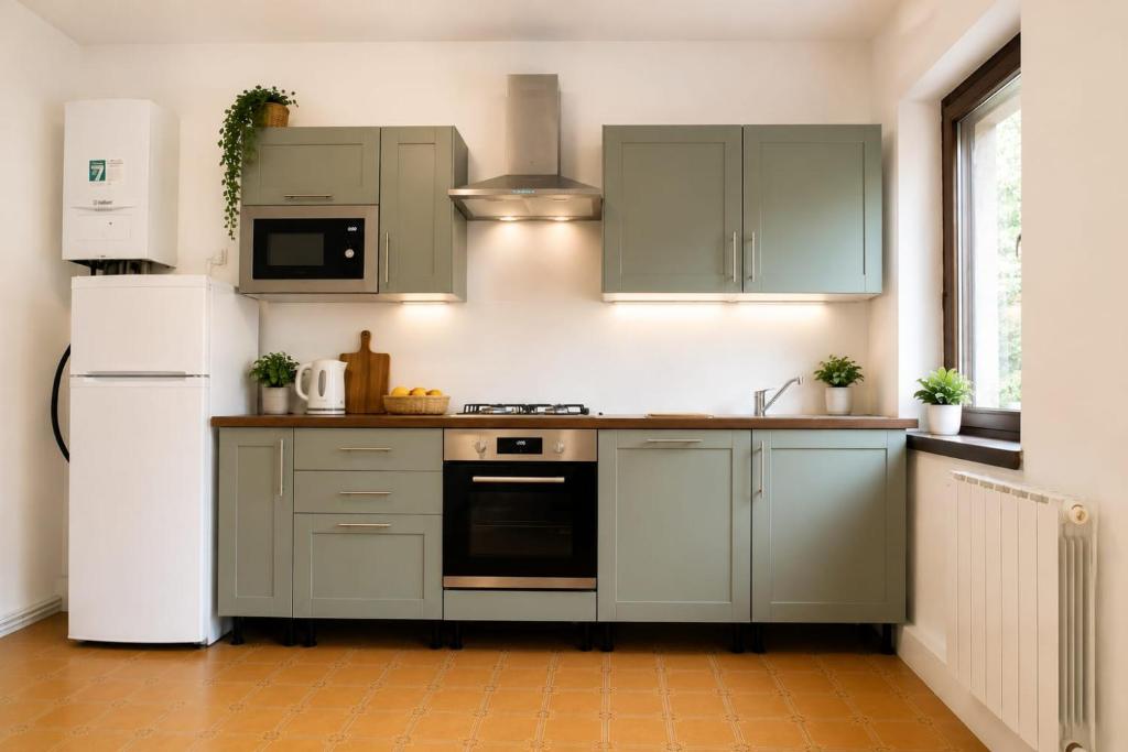 a kitchen with green cabinets and a white refrigerator at La Dimora del Cadore in Domegge di Cadore