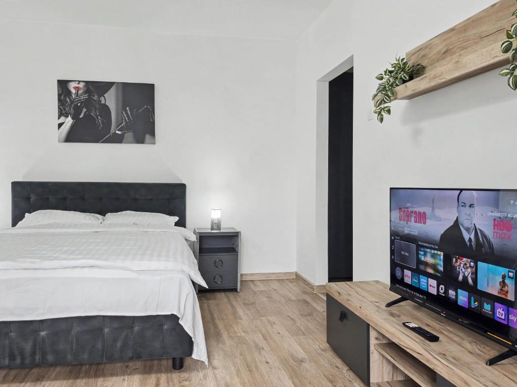 a bedroom with a bed and a flat screen tv at Konstanzer12 - Free Parking Apt - AC in Iaşi