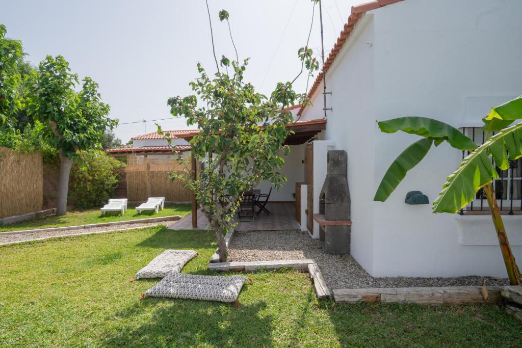 a garden with a small tree and a house at La Huertina C1 in Zahora