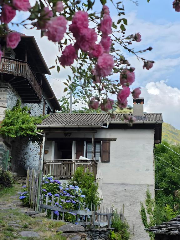 a house with pink flowers in front of it at Casa Piccola in Falmenta