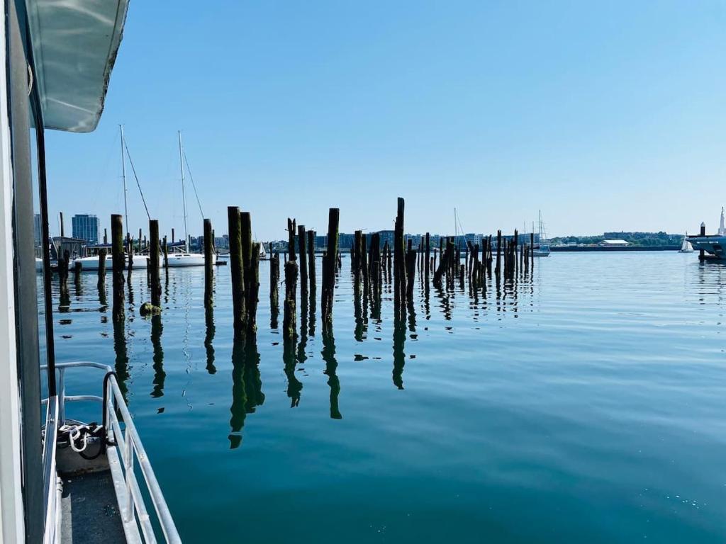 a group of poles in the water next to a boat at Endless Summer Oceanside Views in Boston