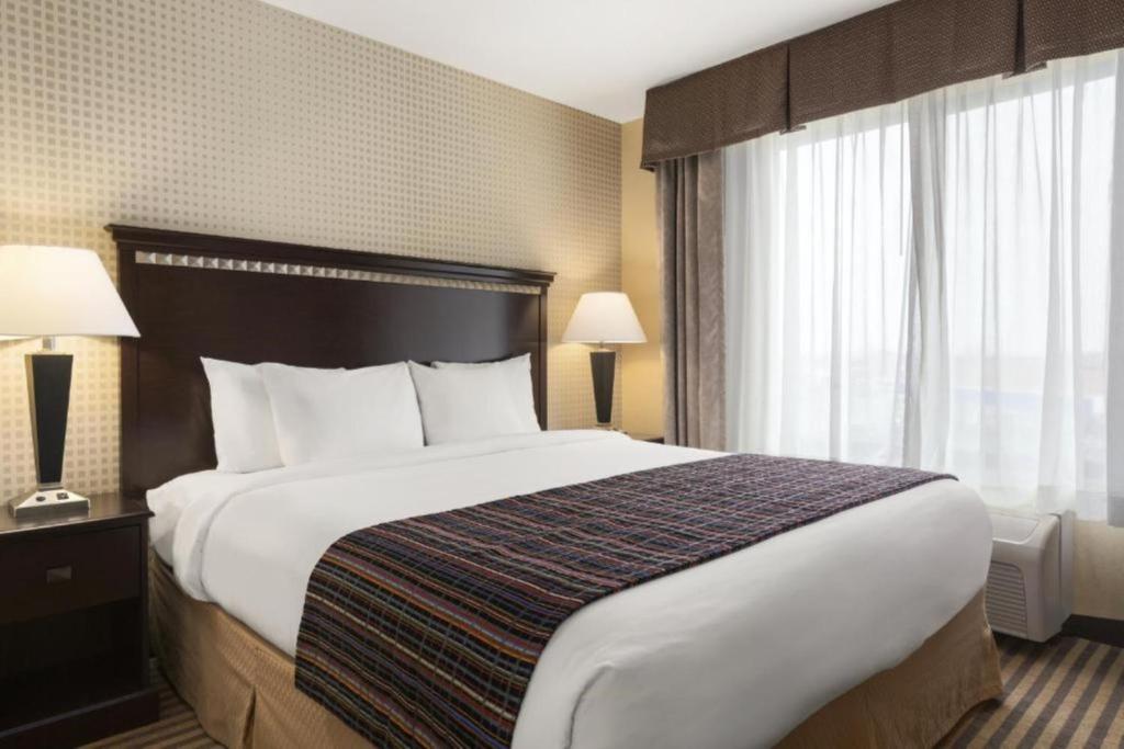 University Hotel Davis Area - 带无障碍轮入式淋浴的特大床套房