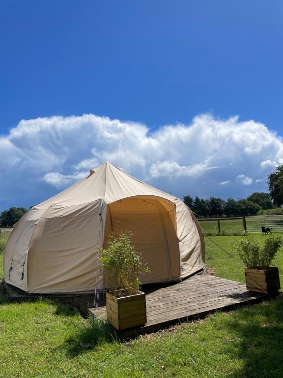 a tent in a field with two potted plants at Nine Acres, Hot Tub, peaceful in Brackley