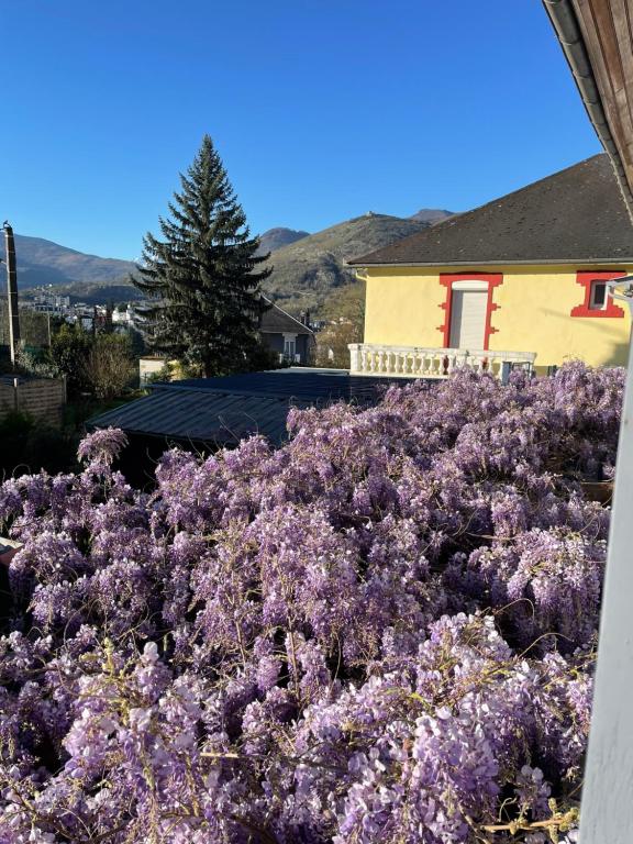 a bunch of purple flowers in front of a house at Hôtel du Clos Fleuri in Lourdes