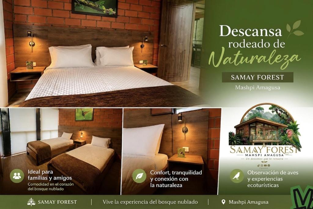 a collage of three pictures of a hotel room at SAMAY FOREST- MASHPI AMAGUSa in Mashpi