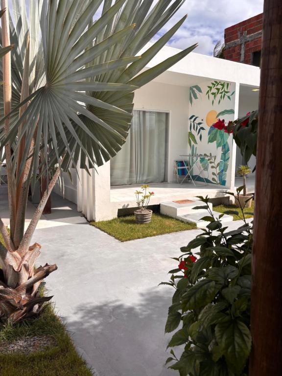 a courtyard with a palm tree and a house at Casa Blanca in Galinhos