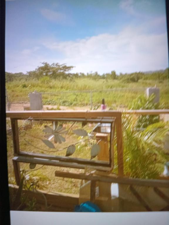 a view from a window of a field of grass at Rest &Rejoice in Bamboo Market