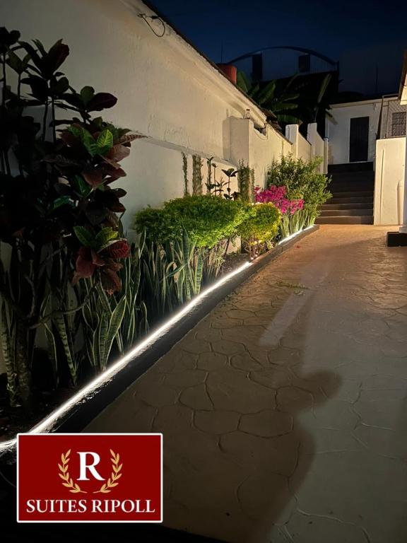 a street light in front of a building with plants at Hotel Ripoll Córdoba in Córdoba