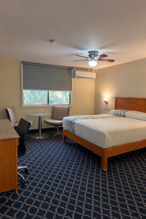 a hotel room with a bed and a desk and a table at Hotel León in Tijuana