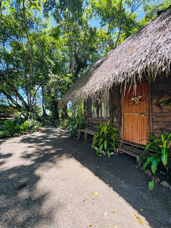 a house with a thatched roof and a pathway at Nawala Eco-hostel in Termales - agua caliente - nuqui