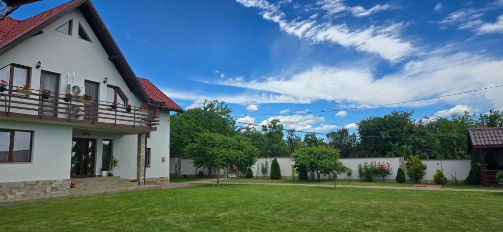 a house with a green yard in front of it at Pensiunea Casa Mădă in Baia de Fier