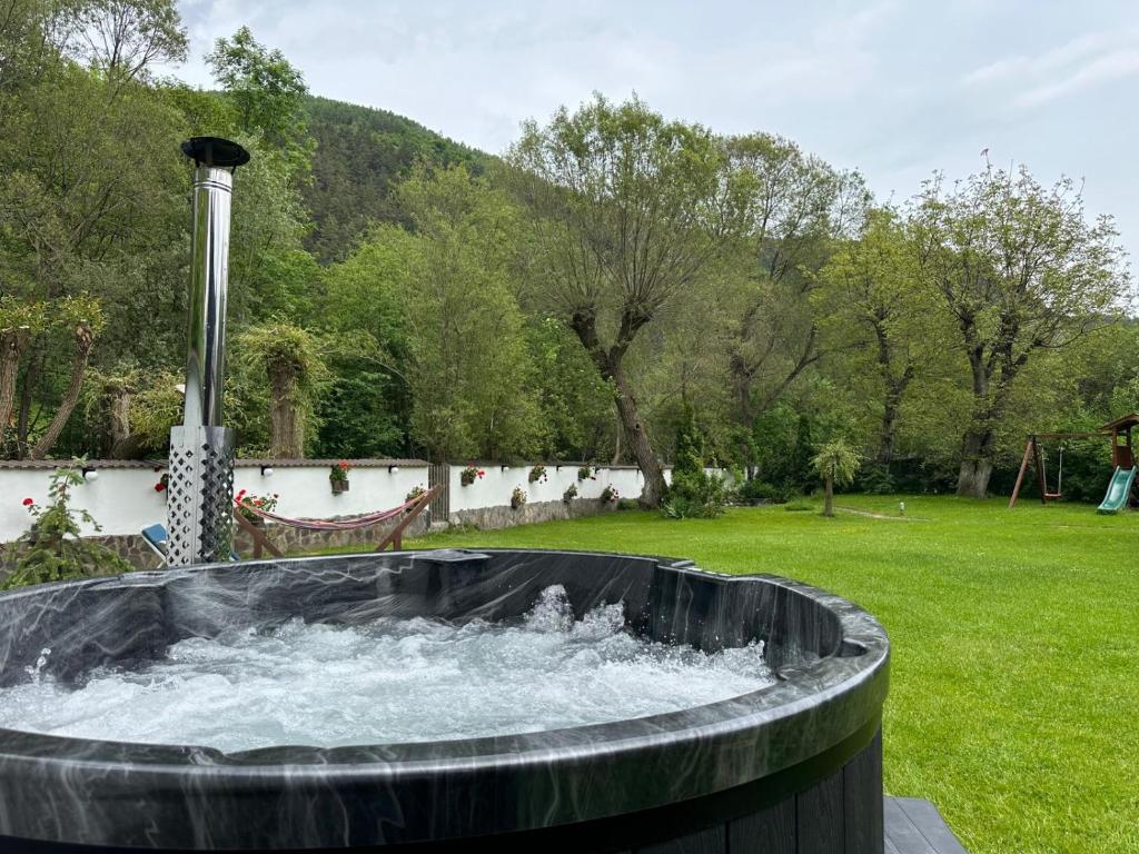 a water fountain in a yard with a grass field at Vila Silvana in Moieciu de Jos