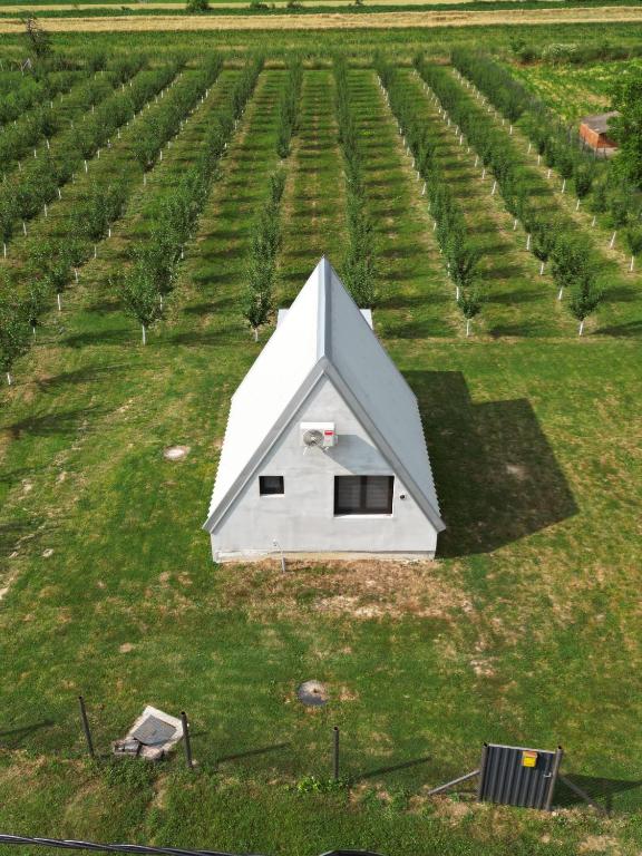a small white house in a field of grass at Vikendica Vukasin in Zasavica Prva
