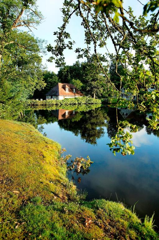 a cabin on the shore of a pond with a house at Au Moulin de La Gorce in La Roche-lʼAbeille