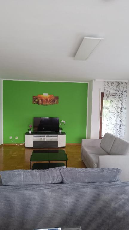 a living room with two couches and a green wall at Rudiferienwohnung in Büdingen