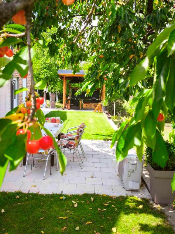 a patio with chairs and tables in a yard at Peščani breg in Banatski Karlovac