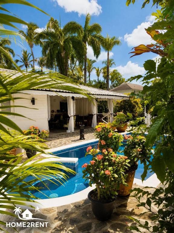 a house with a swimming pool and some plants at Villa 300m from beach with shared swimming pool in Las Terrenas