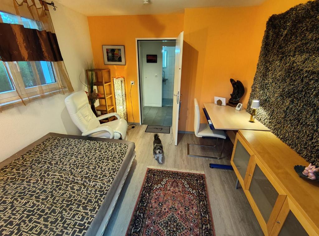 a room with a bathroom with a sink and two cats at Zimmer oberhalb Kreuzlingen in Kreuzlingen
