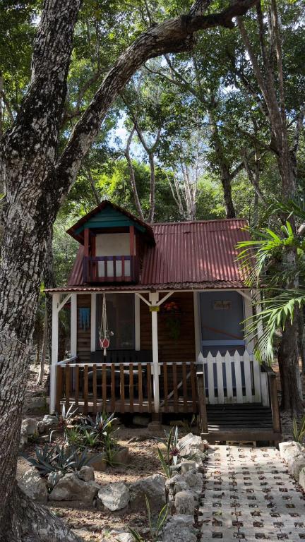 a small house in the middle of a forest at Cabañas El paso Tulum in Chemuyil