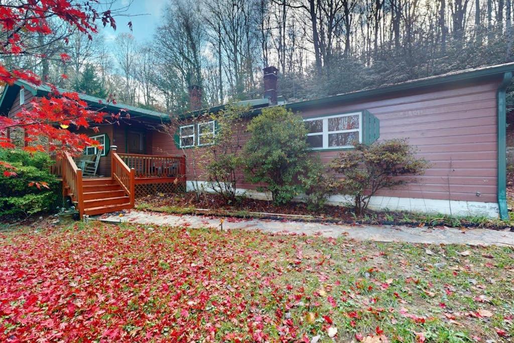 a house with a yard with leaves on the ground at Humming Bird Crossing in Scaly Mountain