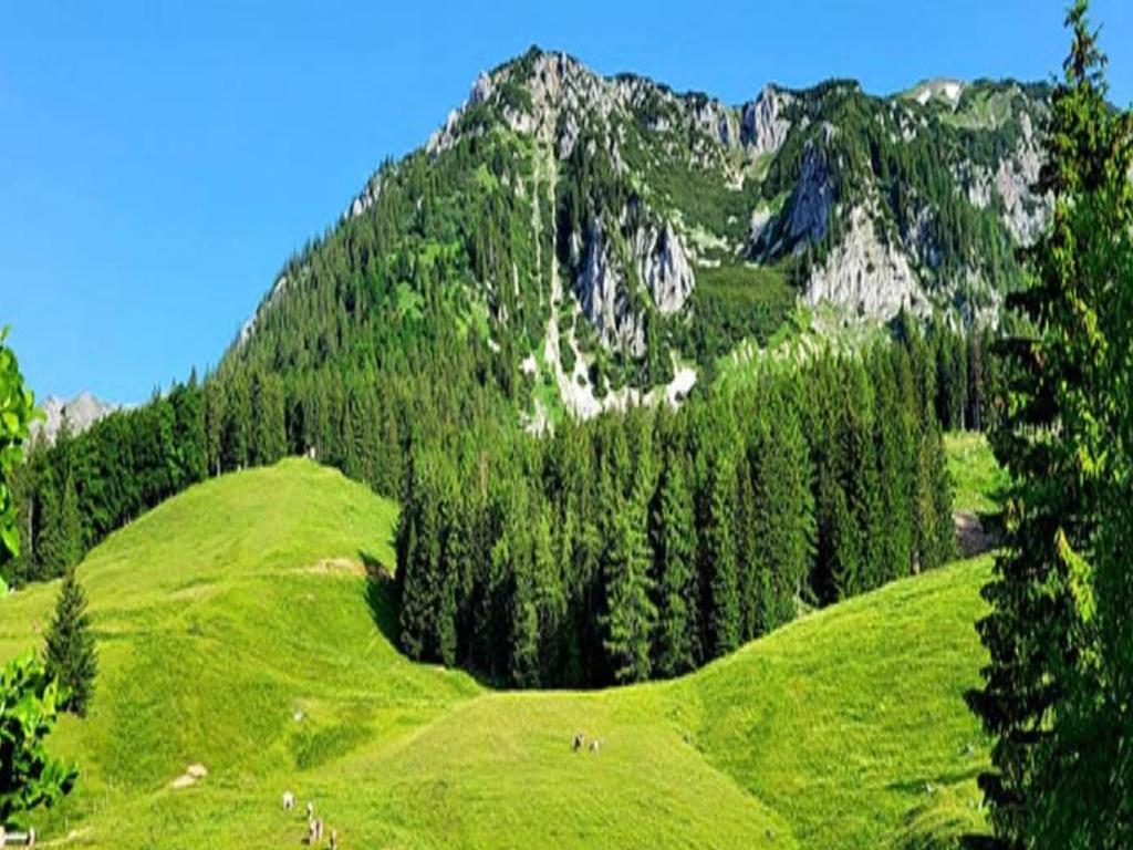 a green hill with trees and a mountain at Almhütte Seebergalm in Seewiesen