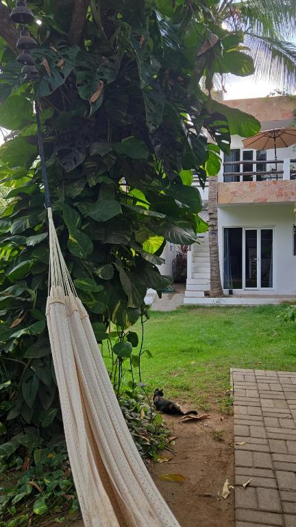 a hammock hanging from a tree in front of a house at Casa Mango Jardin in San Francisco