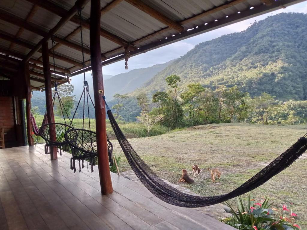 a hammock in a house with a view of a mountain at Rancho San Andrés in Palora