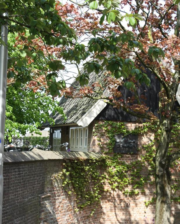 De Hemel De Kracht van Ambacht - Resim 25