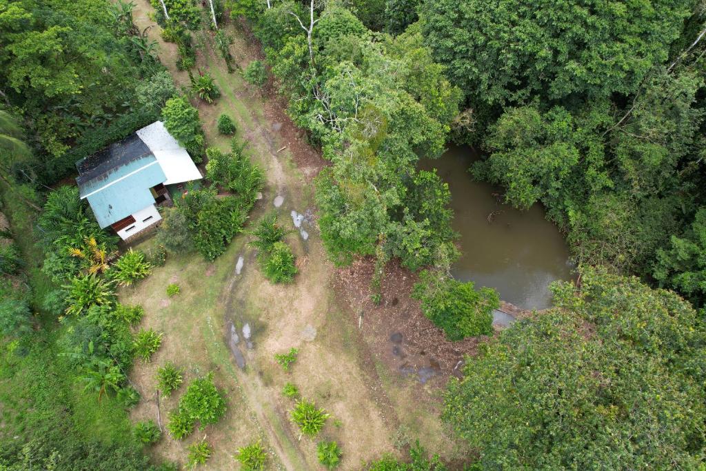 an aerial view of a house in the middle of a forest at FINCA La PAZ - Jungle Retreat - Best Wildlife Spot in Sarapiqui in Puerto Viejo