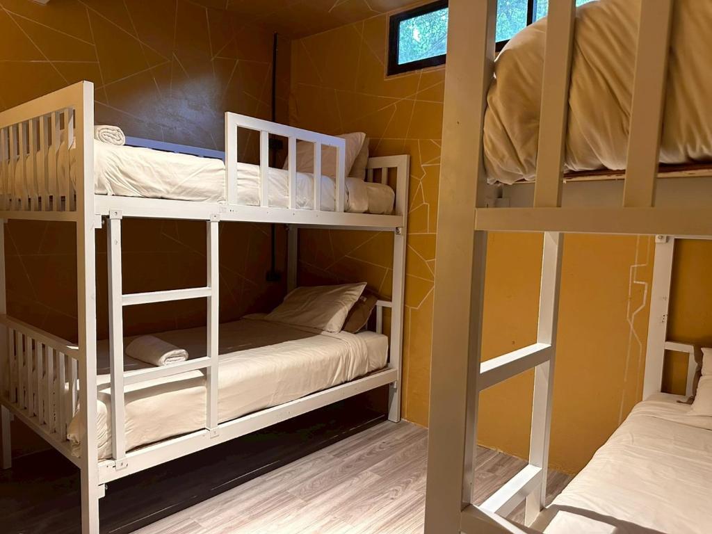 a room with two bunk beds in a room at The Breeze Hostel in Haad Rin