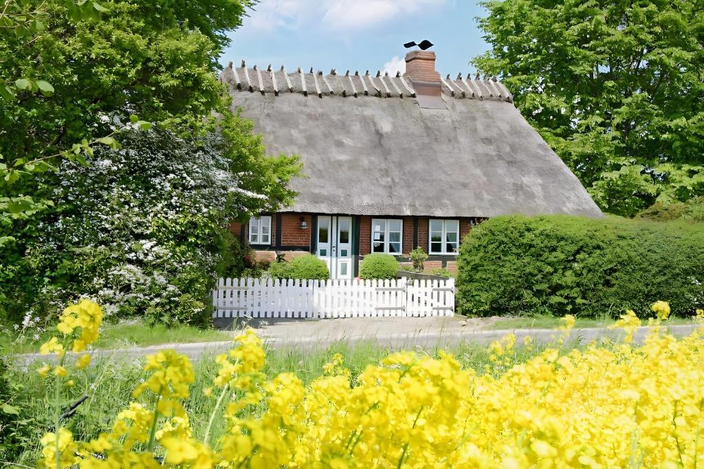 a house with a thatched roof and a white fence at Reetdachkate in Esgrus