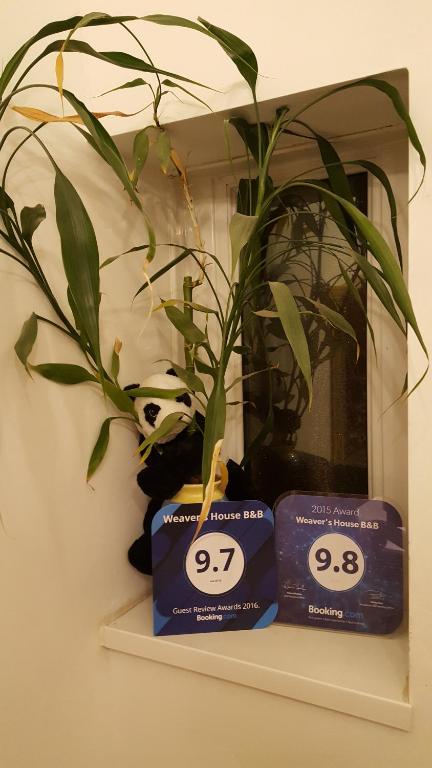 a plant sitting on a shelf in front of a mirror at Weaver's House B&B in Cardiff