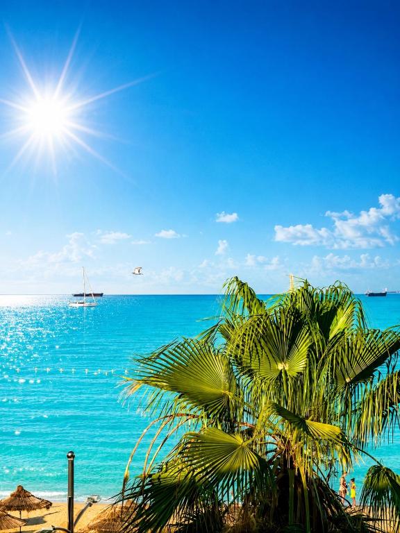 a palm tree on a beach with a boat in the ocean at Hotel Villa Verona in Durrës