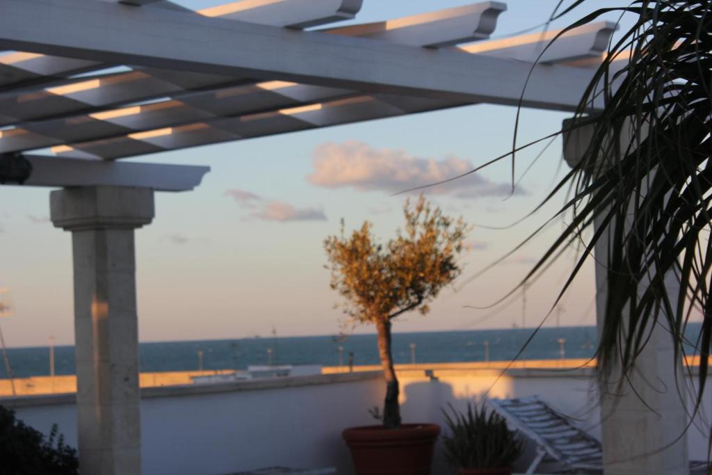 Palazzo Dei Gesuiti - 4