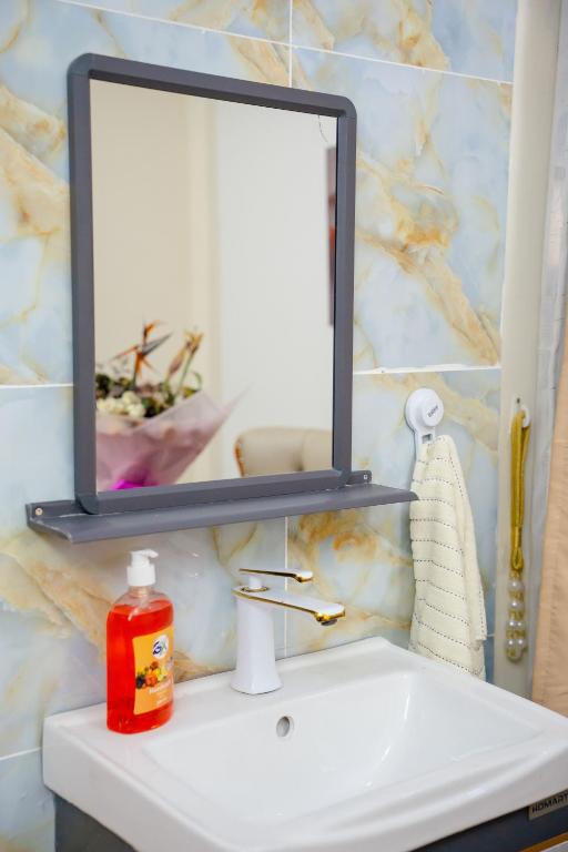 a mirror sitting on top of a bathroom sink at LIBERTY TOWERs in Lower Kabete