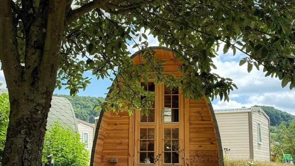 a wooden cabin with a large window next to a tree at Camp Diekirch - Camping Pod in Gilsdorf