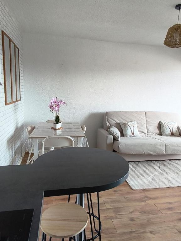 Appartement climatisé 4 pers Résidence Cap Coudalère avec Piscine