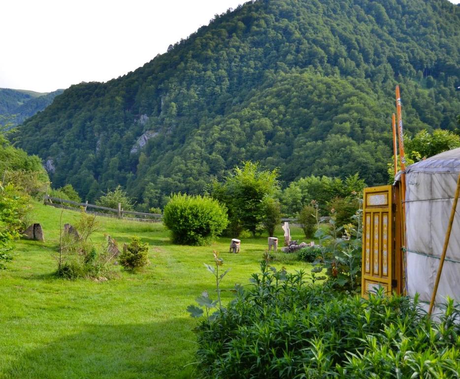 a view of a field with a mountain in the background at Le portillon des fées in Sost