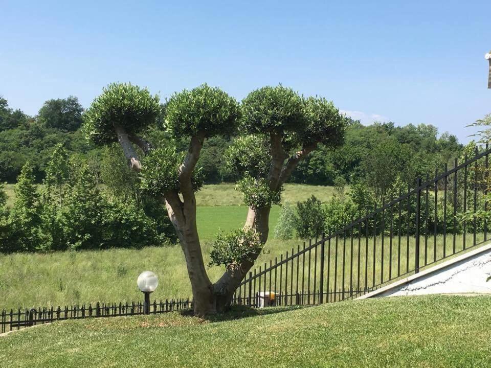 un árbol en el césped junto a una valla en Villa Elisa Relax, en Pozzolengo