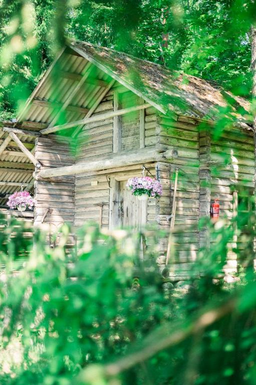 ein altes Holzhaus mit Blumen im Fenster in der Unterkunft Old Silent in Hara