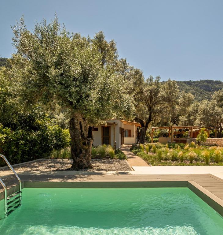 a pool with an olive tree and a house at My Secret Mojo, Private Luxury Retreat Near the Beach in Lefkada