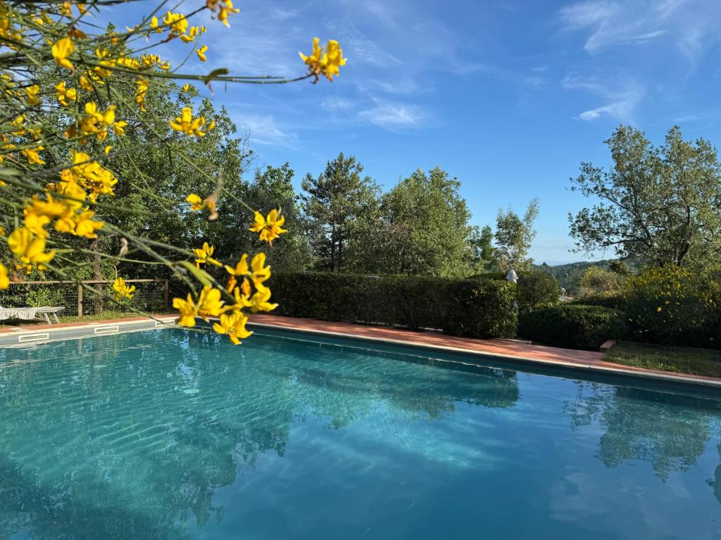 a swimming pool with blue water and yellow flowers at La Loggia di Montefienali in Gaiole in Chianti