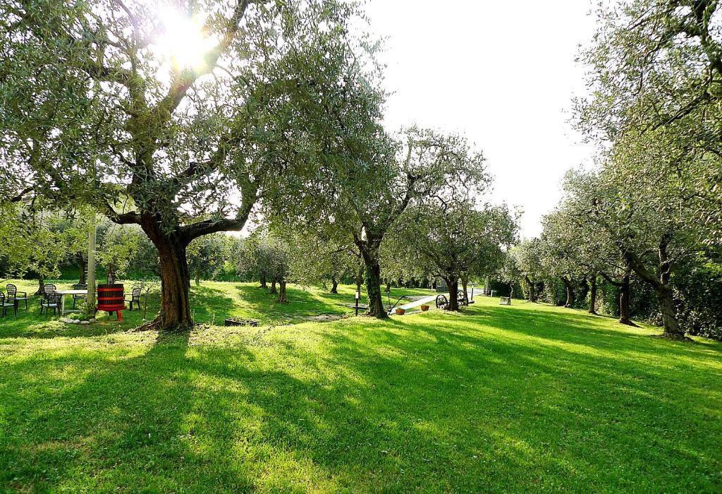 un parque con césped verde, árboles y sol en Al Vajo, en Lazise