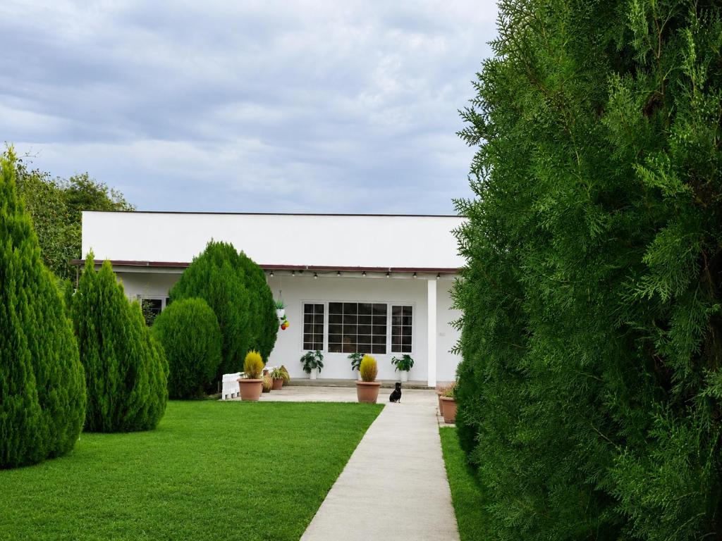 a garden with a white house with a lawn at Haus Georg in Zugdidi