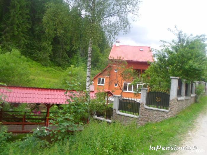 a house with a red roof on a hill at Paradisul Verde din Apuseni in Lăzeşti