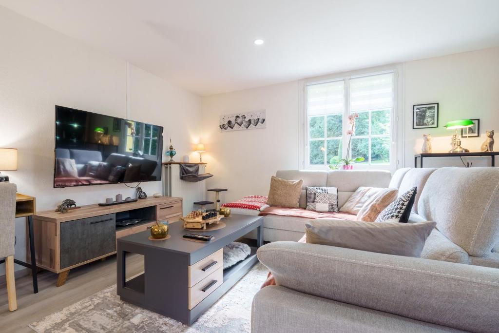 a living room with a couch and a tv at La Jardinette - Avec jacuzzi privé in Futeau