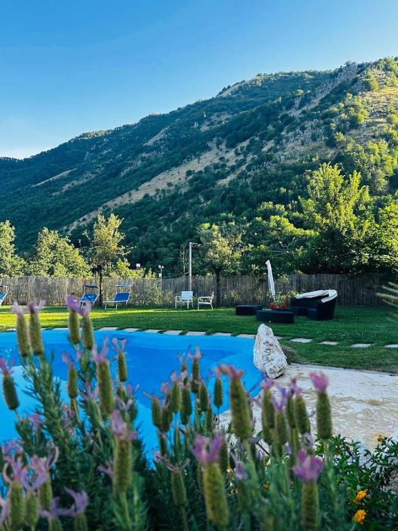 a garden with a view of a mountain at Belmonte Ranch in Belmonte Castello