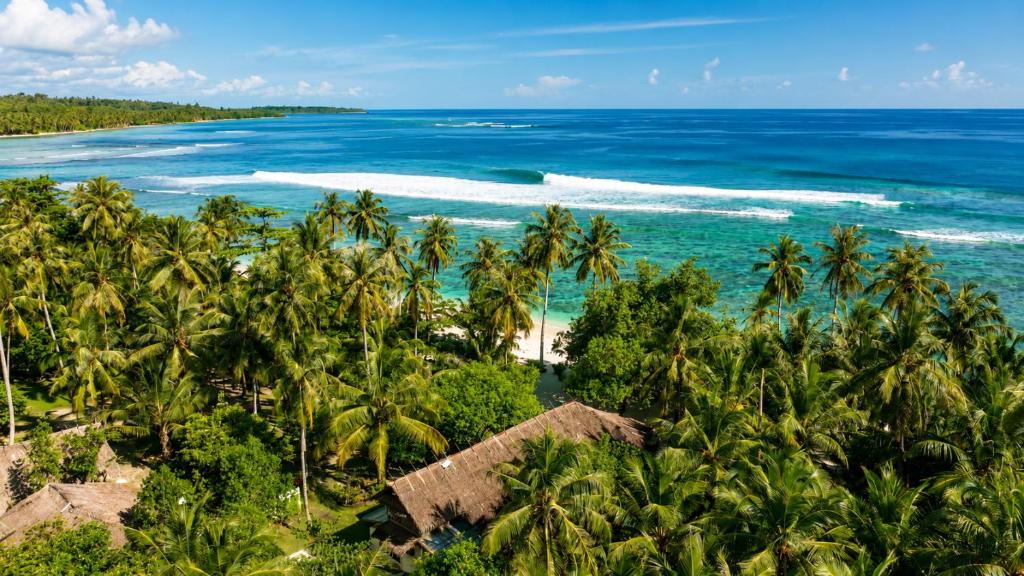 an aerial view of a beach with palm trees and the ocean at Jala Villas Lances Right HTs Mentawai in Katiet